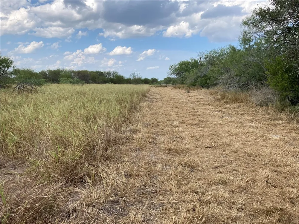 158 CR 117 San Diego, TX 78384