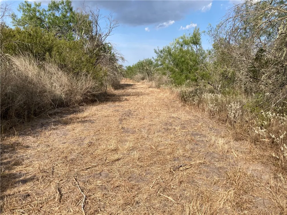 158 CR 117 San Diego, TX 78384