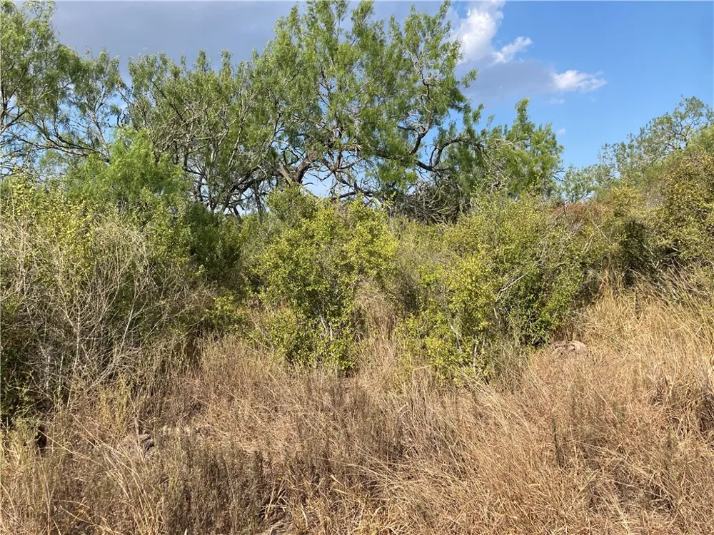 158 CR 117 San Diego, TX 78384