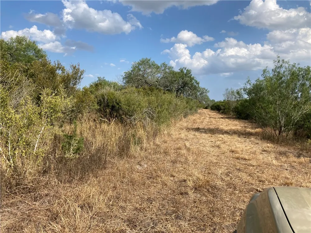 158 CR 117 San Diego, TX 78384