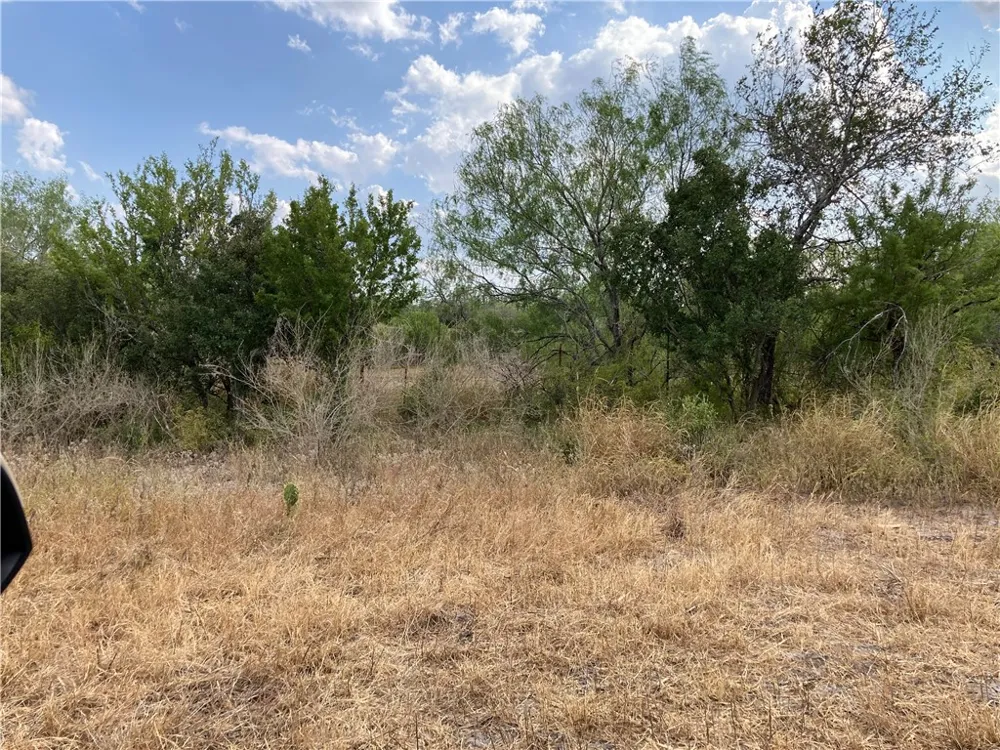 158 CR 117 San Diego, TX 78384