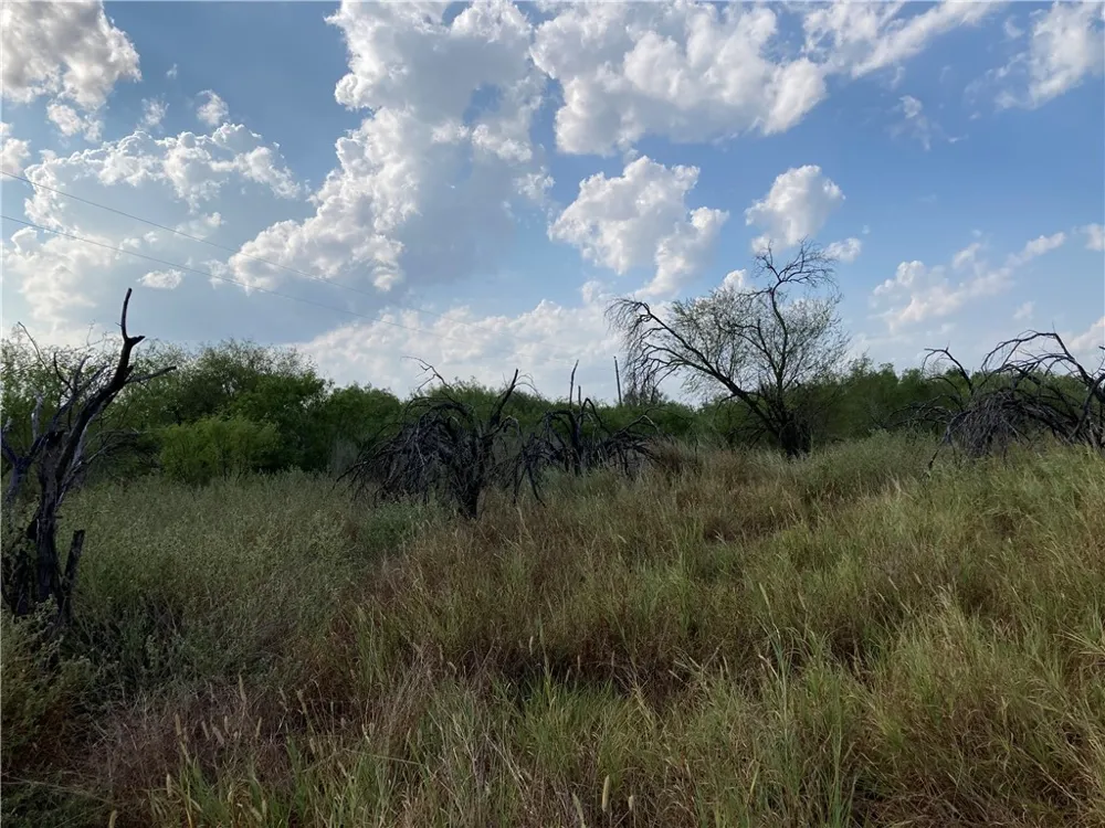 158 CR 117 San Diego, TX 78384