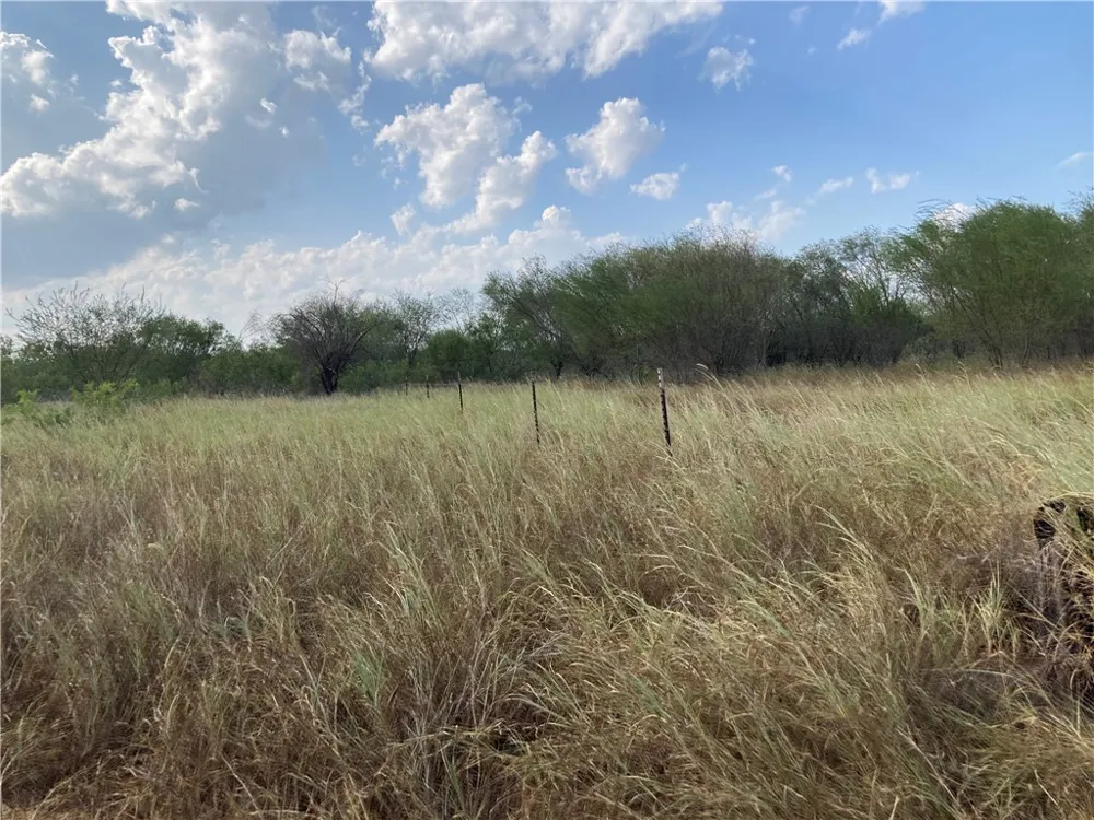 158 CR 117 San Diego, TX 78384