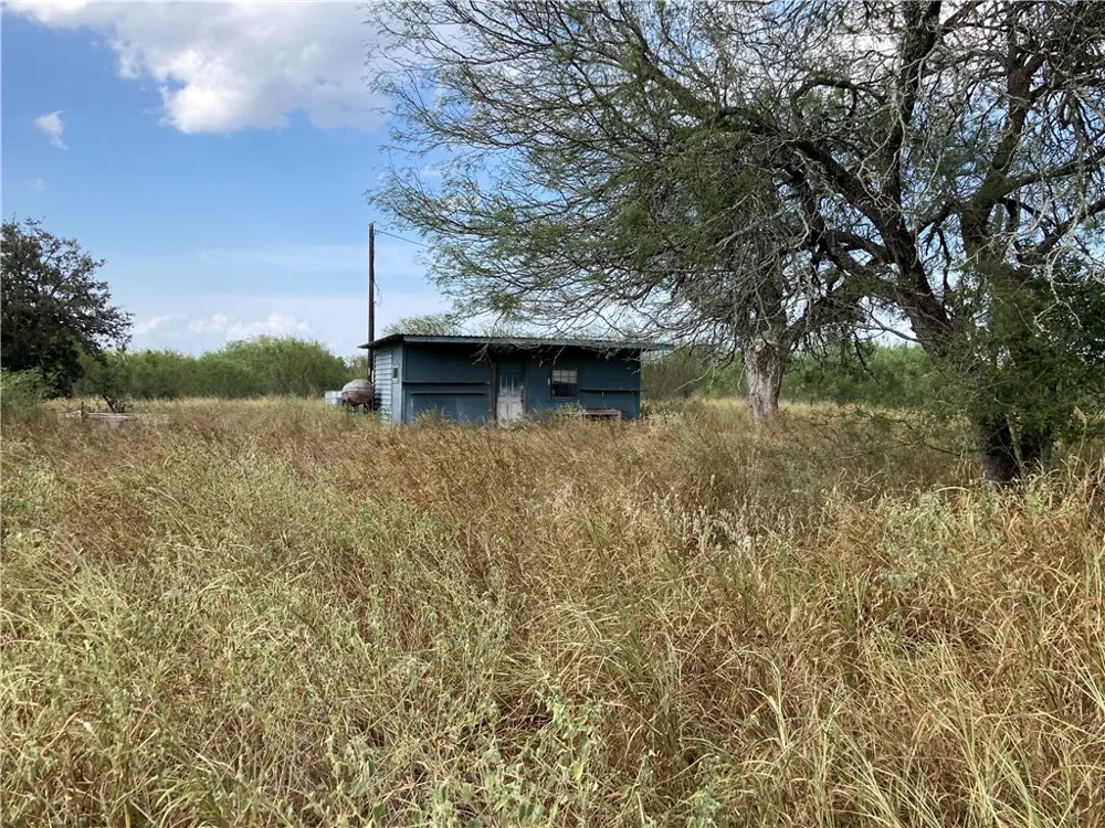 158 CR 117 San Diego, TX 78384