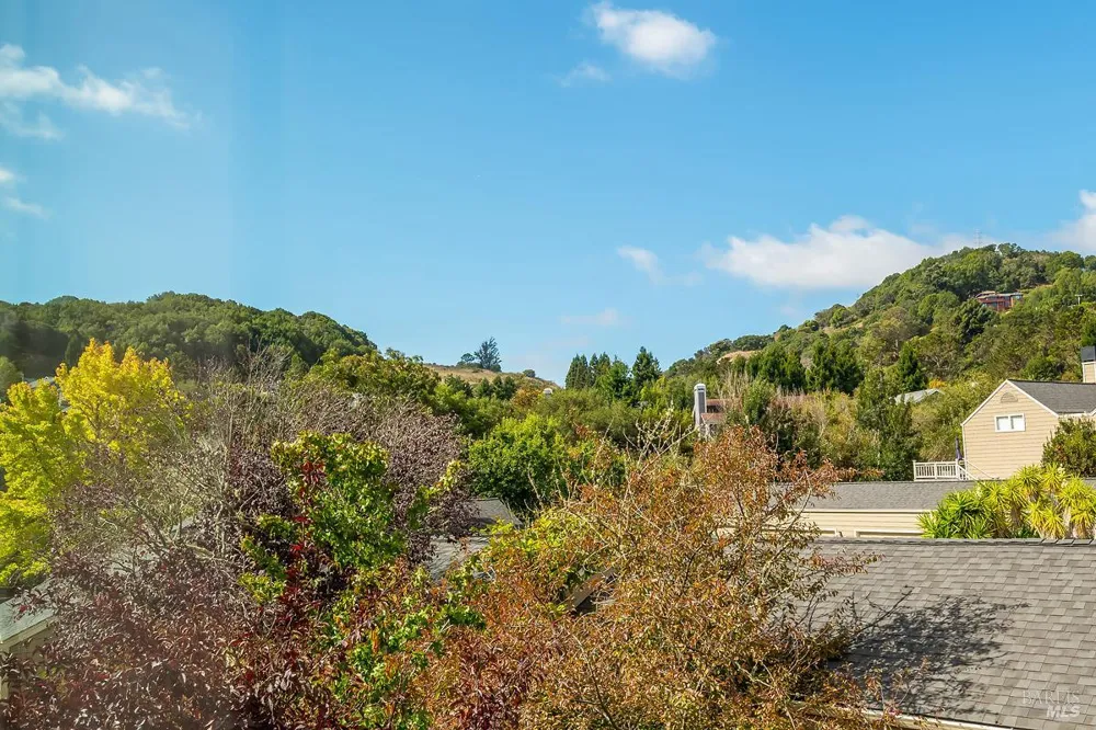 41 Parkview Circle Corte Madera, CA 94925