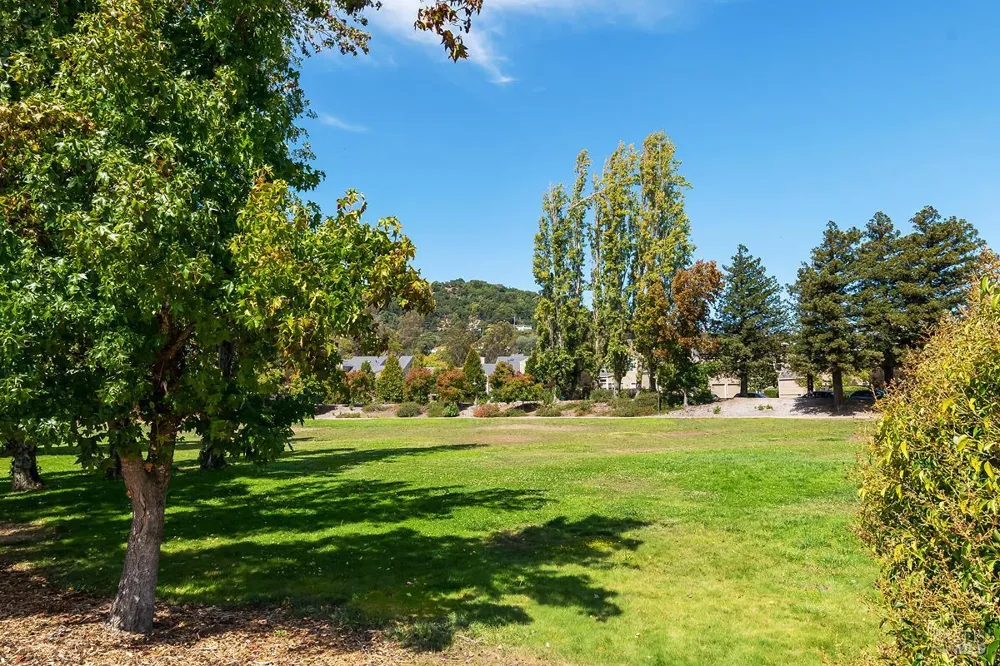41 Parkview Circle Corte Madera, CA 94925
