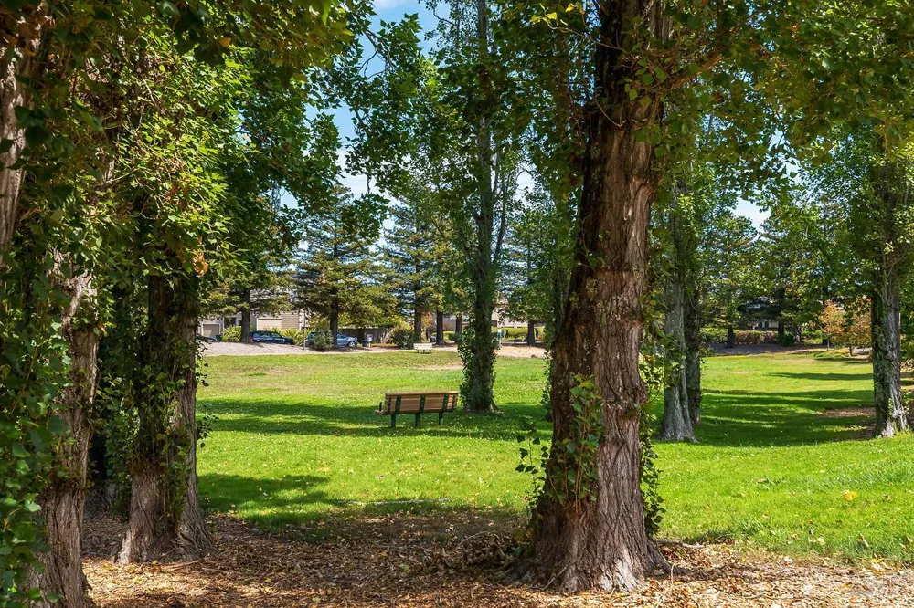 41 Parkview Circle Corte Madera, CA 94925