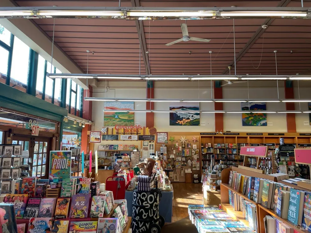 138 Main Street Sebastopol, CA 95472
