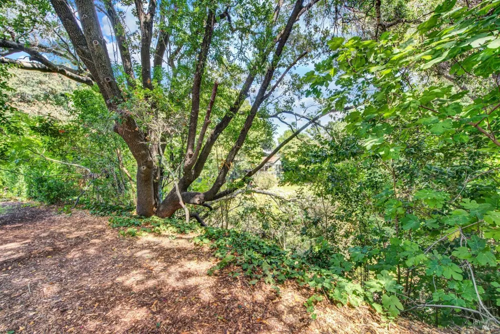 2144 Clay Street Napa, CA 94559