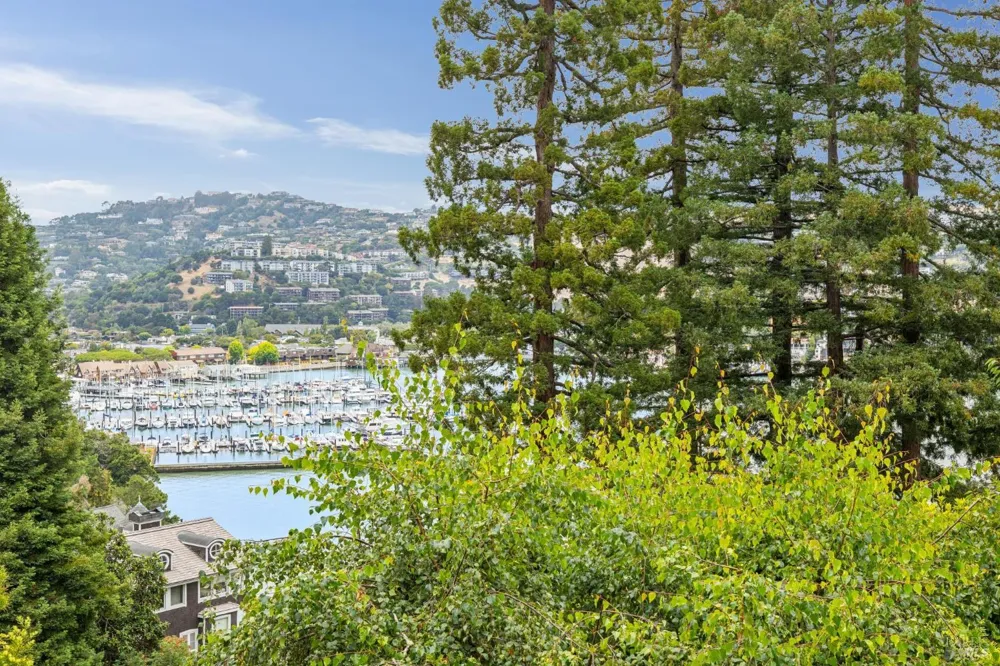 314 Bella Vista Avenue Belvedere, CA 94920