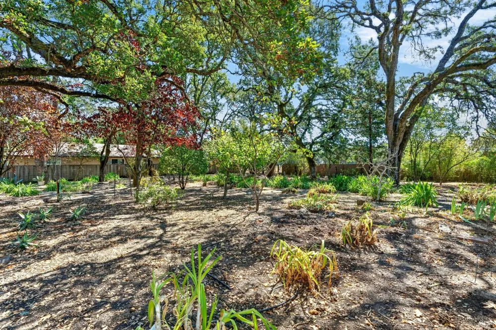 767 Joni Court Windsor, CA 95492