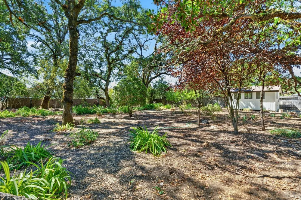 767 Joni Court Windsor, CA 95492