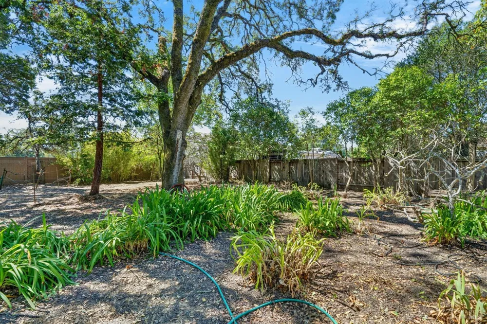 767 Joni Court Windsor, CA 95492
