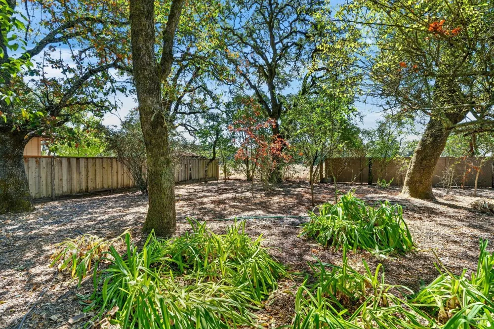 767 Joni Court Windsor, CA 95492