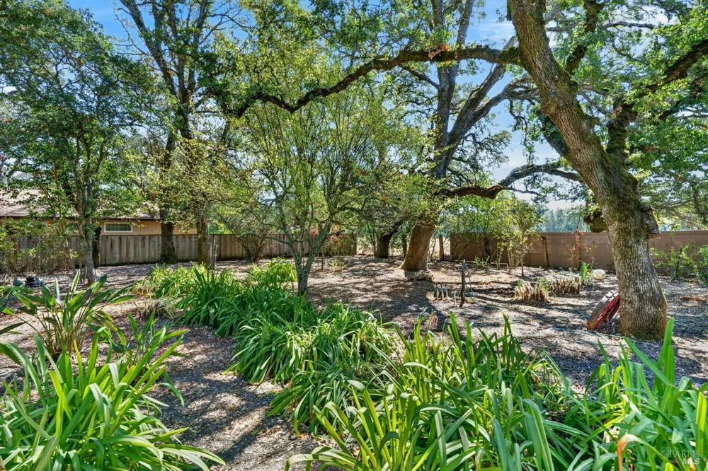 767 Joni Court Windsor, CA 95492