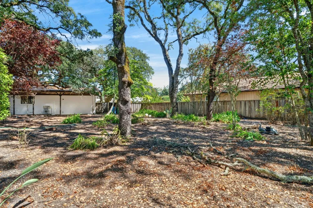 767 Joni Court Windsor, CA 95492