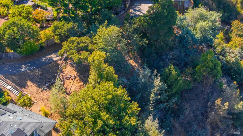 10 E Laverne Avenue Mill Valley, CA 94941