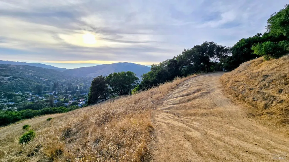203 Sylvia Way San Rafael, CA 94903