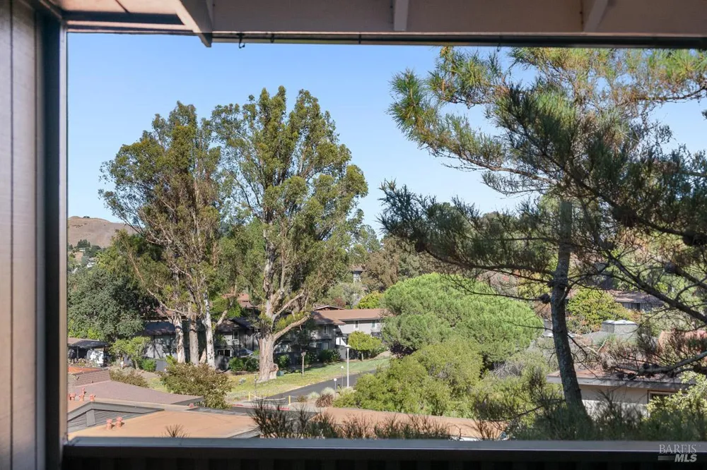 203 Sylvia Way San Rafael, CA 94903