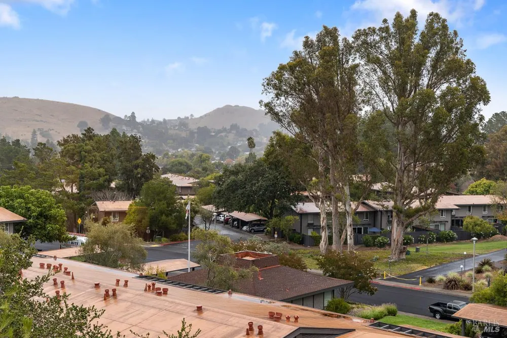 203 Sylvia Way San Rafael, CA 94903