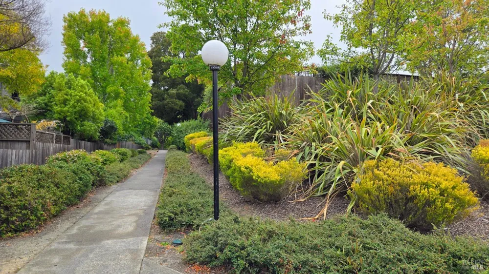 203 Sylvia Way San Rafael, CA 94903