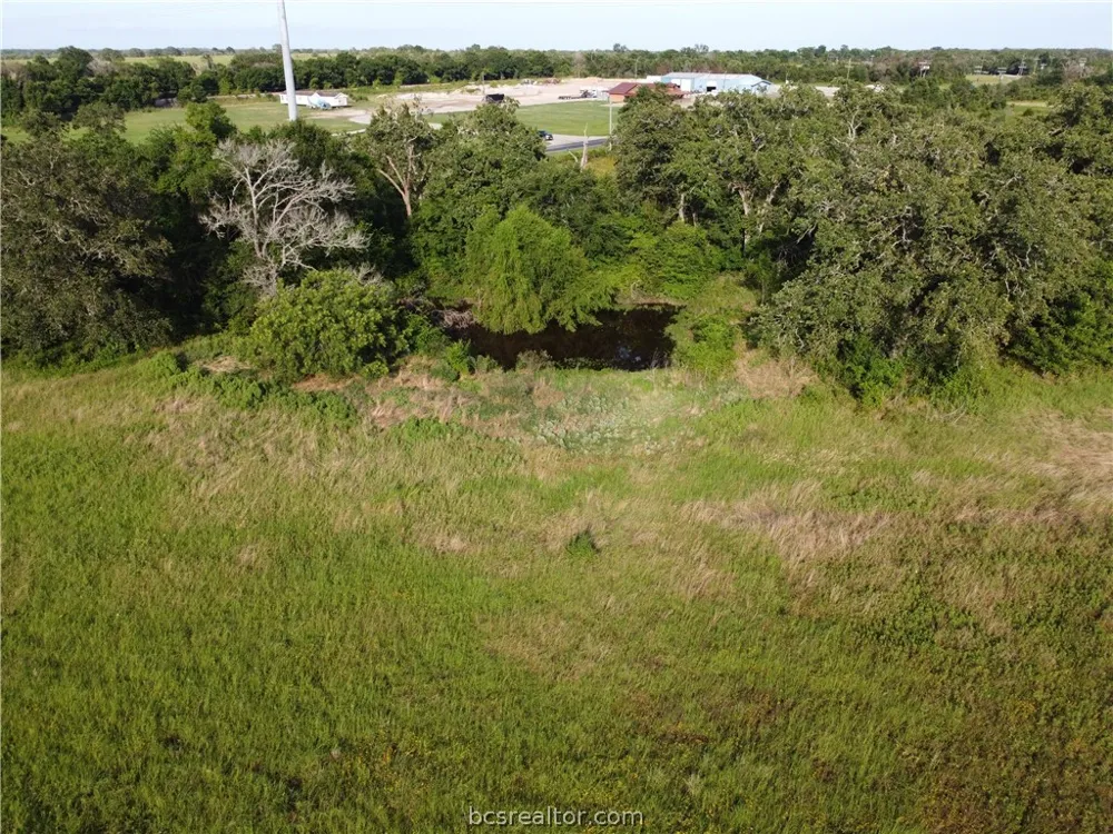 20067 FM 39 Iola, TX 77861