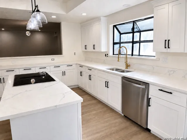 3919 MIDVALE DR San Antonio, TX 78229