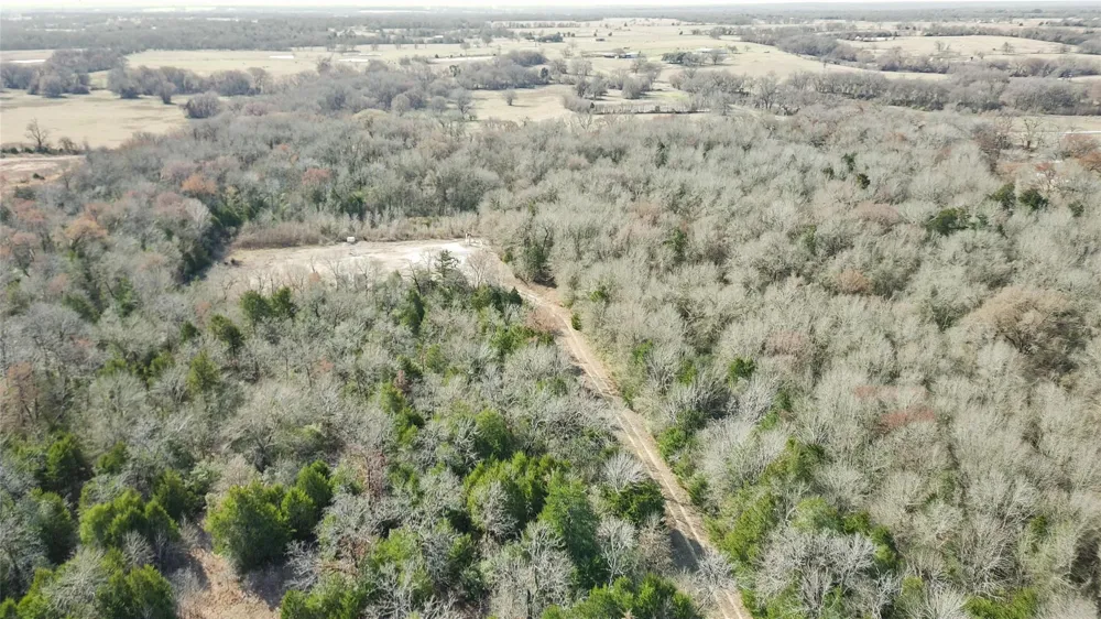County Road 506 Fairfield, TX 75840