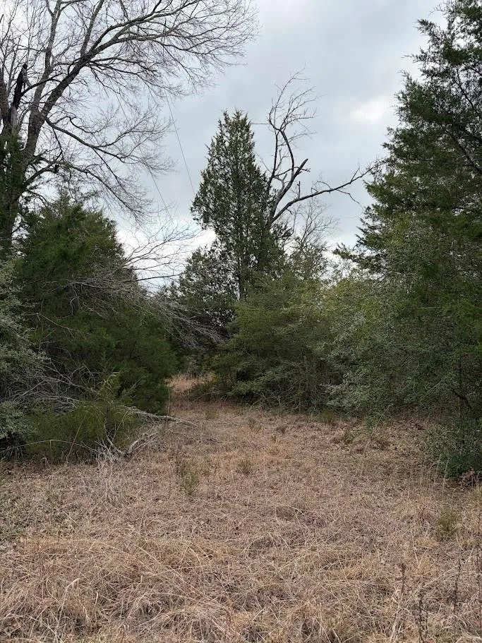 County Road 506 Fairfield, TX 75840