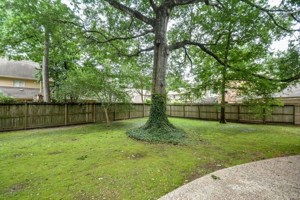 16010 Mickleham Drive Spring, TX 77379