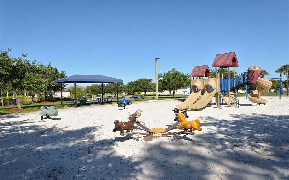 4005 DOUGLAS HILL PLACE Parrish, FL 34219