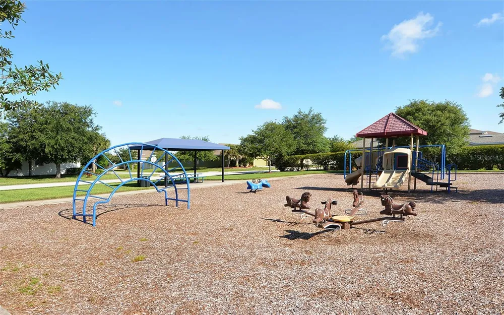 4005 DOUGLAS HILL PLACE Parrish, FL 34219