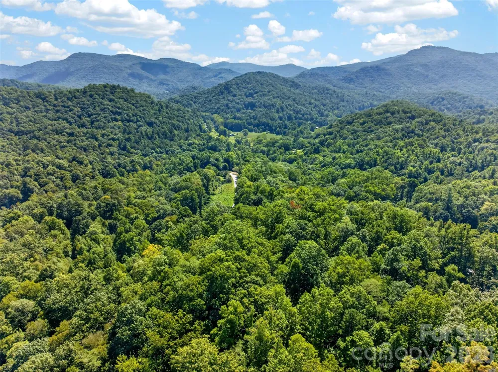 898 Morgan Hill Road Black Mountain, NC 28711