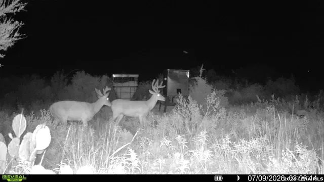 6018 Ranch Road 2523 Brackettville, TX 78332