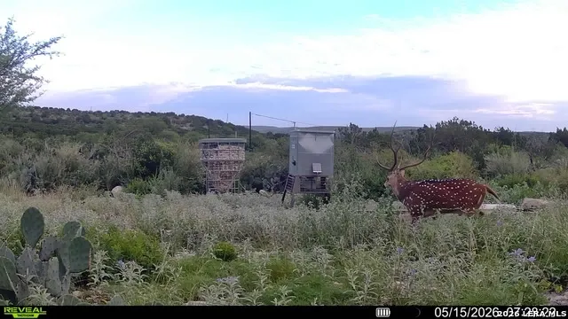 6018 Ranch Road 2523 Brackettville, TX 78332