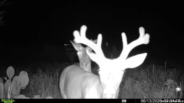 6018 Ranch Road 2523 Brackettville, TX 78332