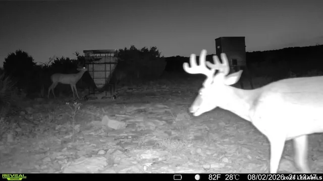6018 Ranch Road 2523 Brackettville, TX 78332