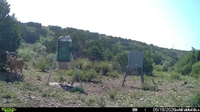 6018 Ranch Road 2523 Brackettville, TX 78332