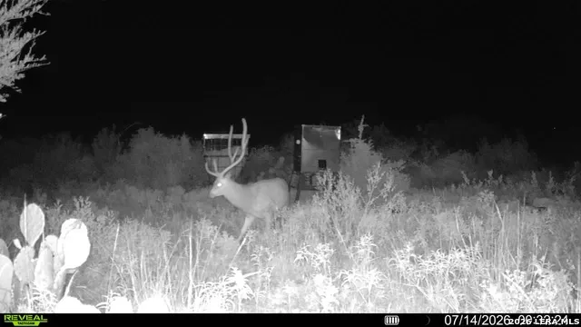 6018 Ranch Road 2523 Brackettville, TX 78332