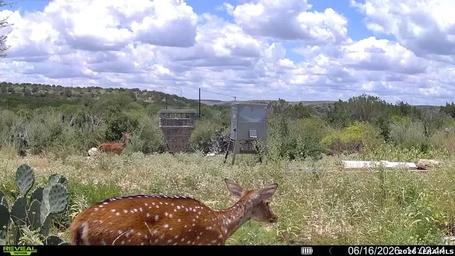 6018 Ranch Road 2523 Brackettville, TX 78332