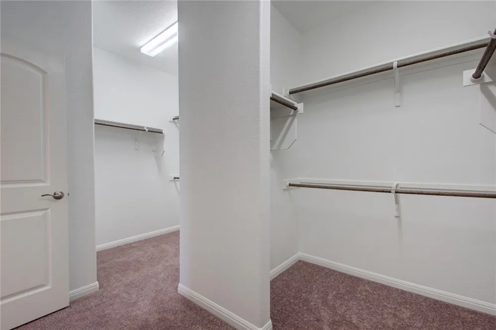 113 Meadow Wood Cove Georgetown, TX 78626