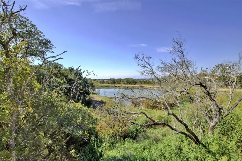 113 Meadow Wood Cove Georgetown, TX 78626