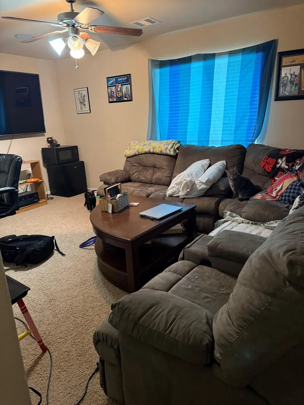 10012 Cedar Creek Court Brookshire, TX 77423