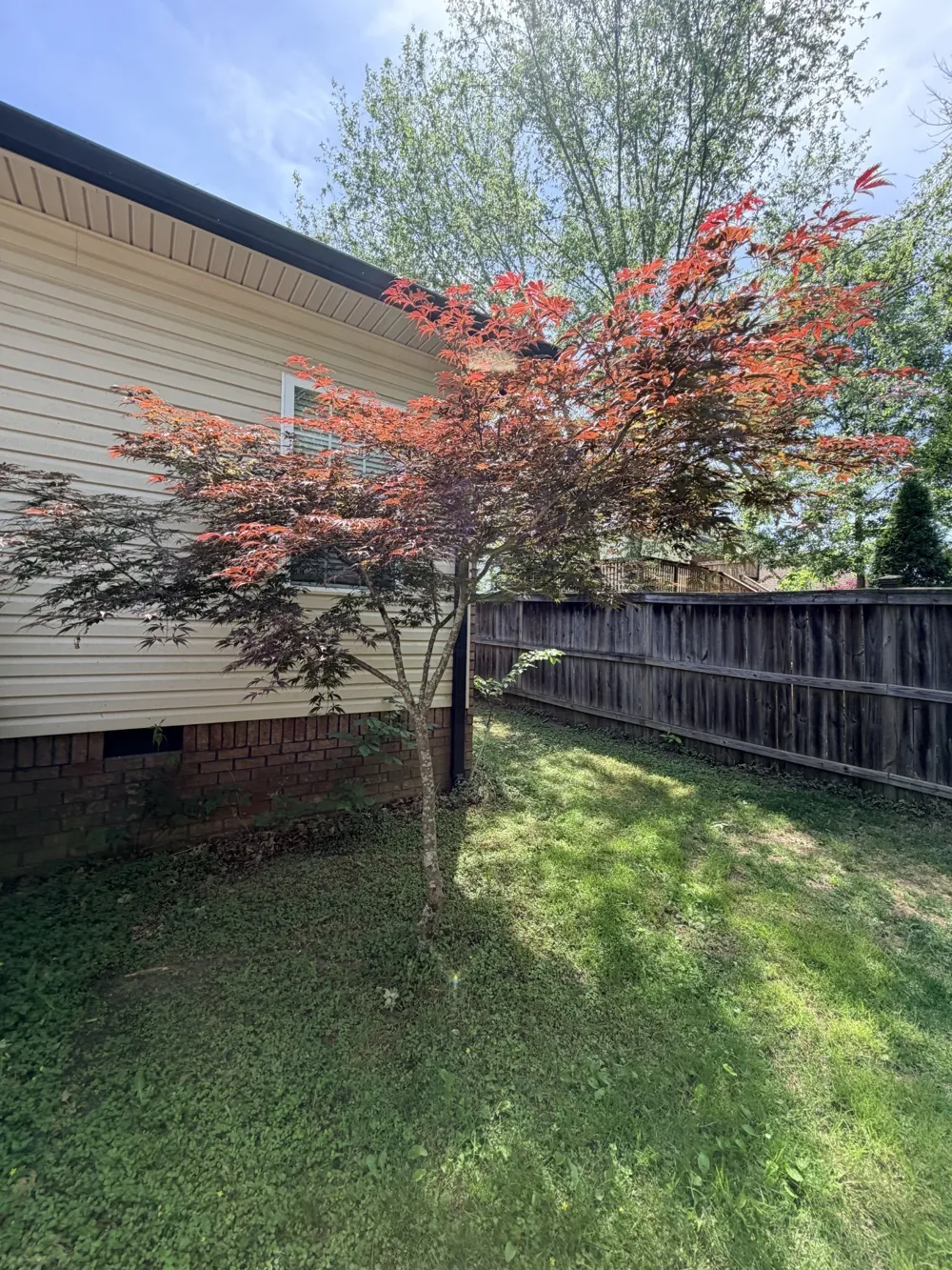 241 Quad Oak Dr Mount Juliet, TN 37122