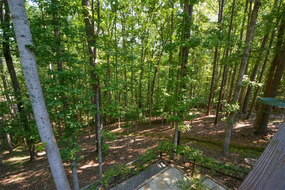 3515 Stone Cliff Way Woodstock, GA 30189