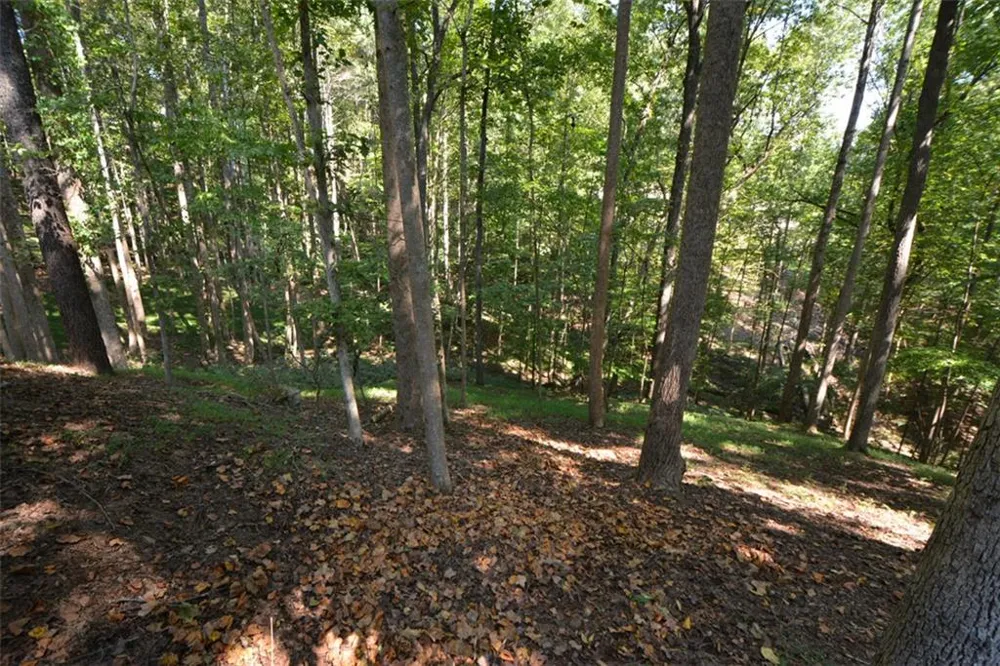 3515 Stone Cliff Way Woodstock, GA 30189