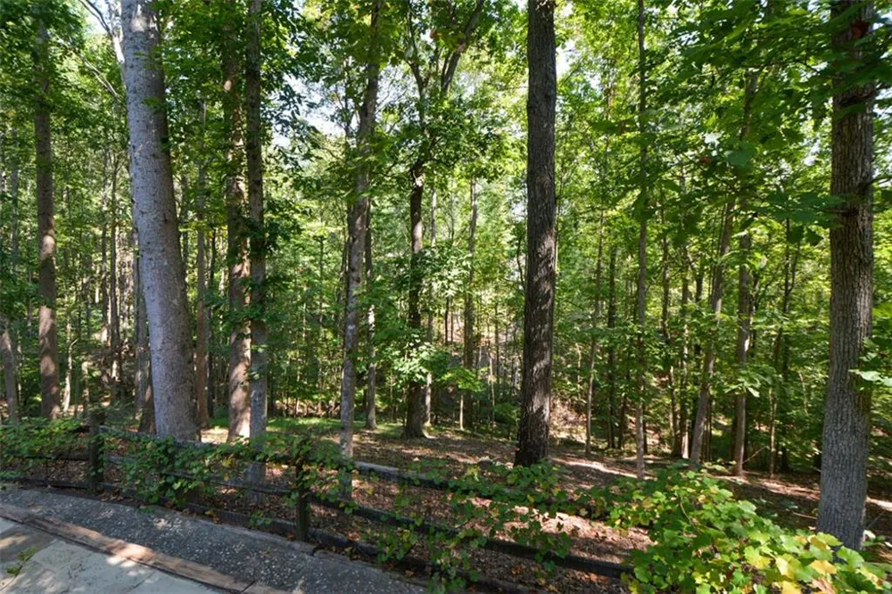 3515 Stone Cliff Way Woodstock, GA 30189
