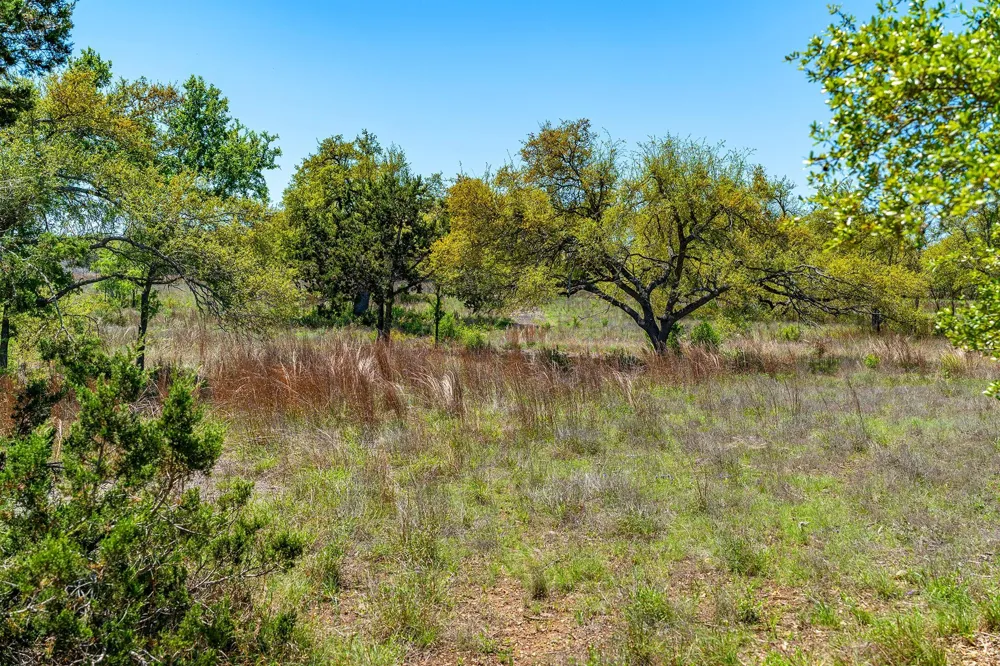 620 Whiskey Trail Blanco, TX 78606