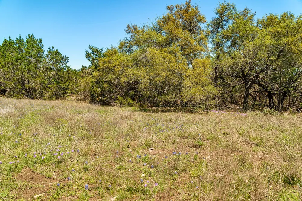 620 Whiskey Trail Blanco, TX 78606