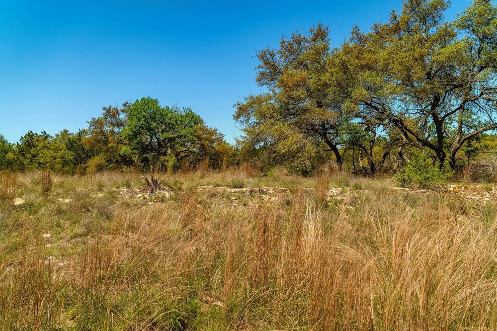 620 Whiskey Trail Blanco, TX 78606